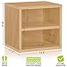 Way Basics Closet Organizer and Storage - Modular Connect Shelf Cube (Tool-free Assembly)