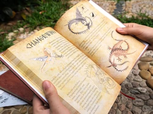 Generic Dragon Magazine, Dragon Book, Dragon Training Book: Learn to Train Your Own Dragon, Exciting Gift for Dragon Fan! (Dragon Book), Brilliant - Image 8