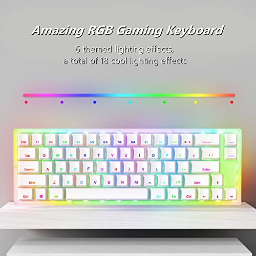 Womier K66 60% Mechanical Keyboard, Hot Swappable Wired Rgb Backlit Keyboard, Gateron Switch Acrylic Gaming Keyboard For Pc Ps4 Xbox (Red Switch,White) #TOP4