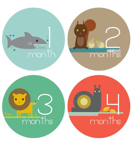 Lucy Darling Shop Monthly Baby Stickers - Baby Boy - Zoo Animals - Months 1-12