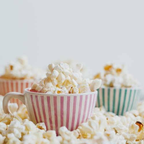 Popcorn Salt Bundle Includes 2-3.75 Oz Bottles Of Kernel Seasons Popcorn Salt Popcorn Seasoning! An Extra Fine Popcorn Salt Made To Cling To Every Popcorn Kernel! Comes With A Bellatavo Fridge Magnet! #TOP7