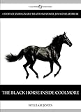The Black Horse Inside Coolmore