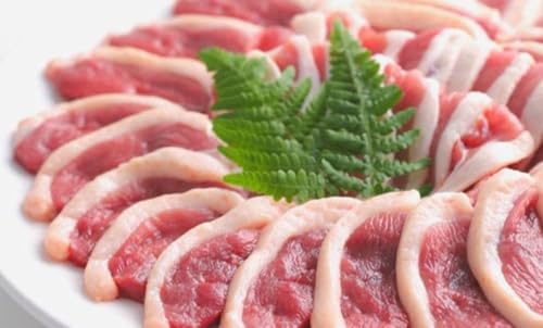 Y ߍ] [X 11 785×14o Ⓚ Ɩp sяi