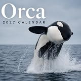 Orca Calendar 2027: Marine Wildlife Photography