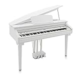 128 Realistic Voices and Weighted Keys 100 Rhythm Styles and Accompaniments Ideal acoustic piano replacement/alternative Headphone output provides the option for quiet practice