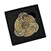 D&D Themed Fidget Spinner, dice Spinner, D4,D6, D8, D10, D12,D20,D% 7-in-1 Metal dice, Perfect for D&D Dungeons and Dragons, RPG and Pathfinder Role Playing Games (Ancient Gold Color)