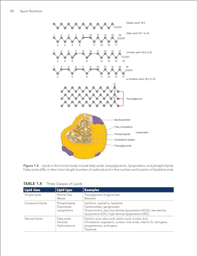 Human Kinetics Sport Nutrition