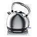 arendo - Bouilloire électrique en Acier Inoxydable - 1,7 Litre - 2200 W - Style Vintage rétro - Filtre anticalcaire Amovible Interchangeable - Interrupteur d'alimentation LED Bleue - Argentée