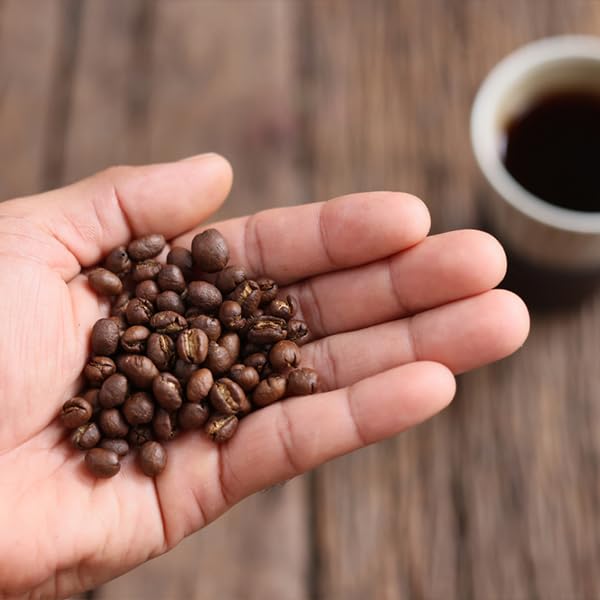 Image of Cafe Coffee Day | Filter | Ground | Best Coffee | Morning | Choco (PACK OF 6, 60% Coffee & 40% Chicory- Heritage Blend)
