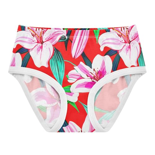 Joisal White Pink Lily Flowers Red Girl Panties Cute Girls Underwear Toddler Cotton Cartoon Undies Kids Briefs 2t