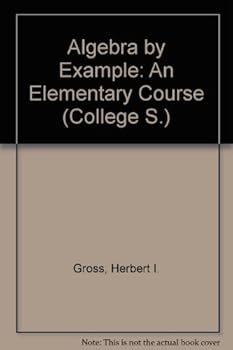 Paperback Algebra by example: An elementary course (Heath basic math series) Book