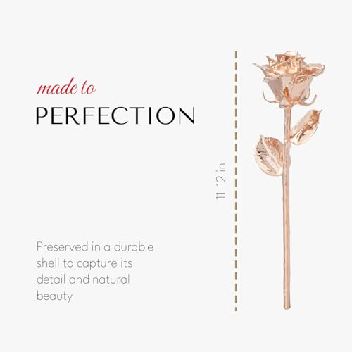 Image of Forever Rose Real Rose Dipped in Rose Gold, Luxury Leather Display Case