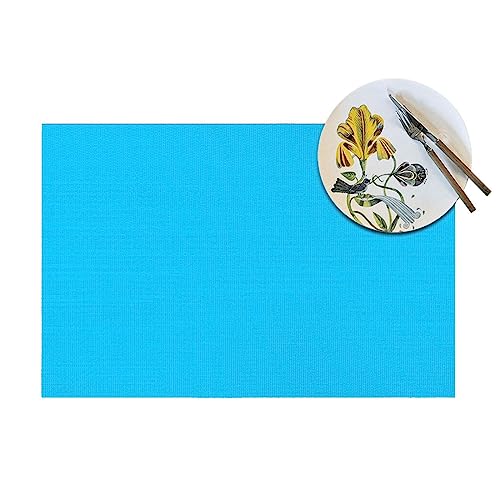 Set de table lavable bleu clair 45x30 cm PVC résistant à la chaleur