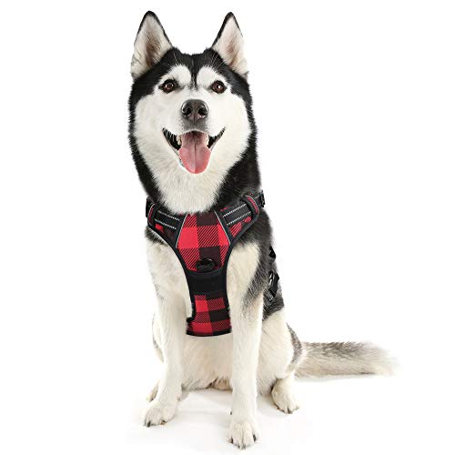 kana gear dog harness