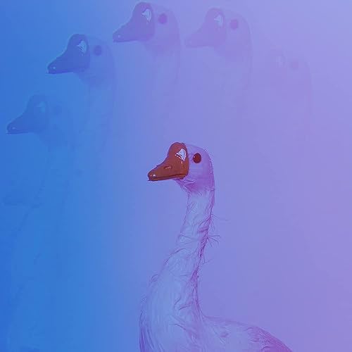 Miniatura 2 de Filtro de cámara caleidoscopio prisma 3.031 in filtro efecto lente de cámara fractales fotografía prisma