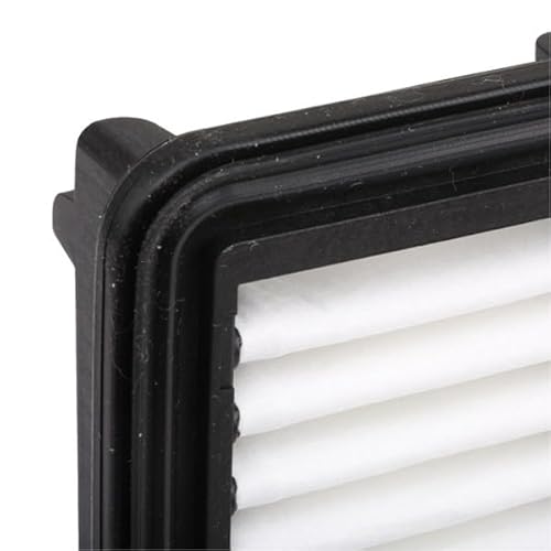 Bosch S0439 - Filtro Aria - 9