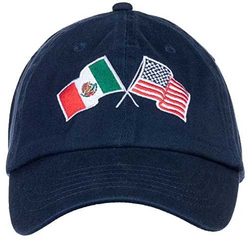 Image of Ann Arbor T-shirt Co. American Friendship Nations Flag Baseball Low Profile Dad Hat for Men Women