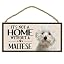 Maltese