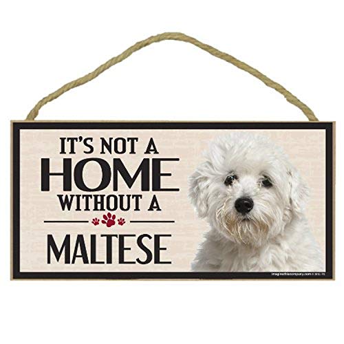 Image of Imagine This Wood Sign for Maltese Dog Breeds
