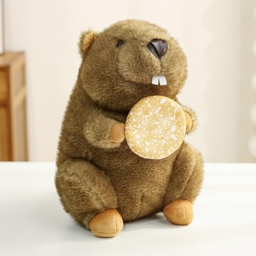 bg ʂ NbV  ӂӂ  A  摜02 D { Aj}  G 25cm n v[g