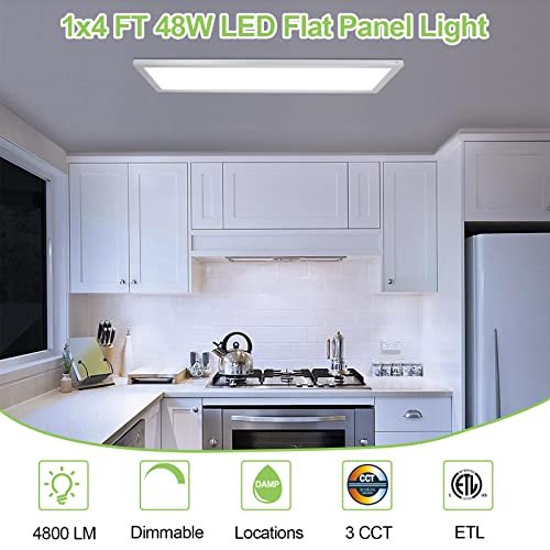 1X4 Ft Led Flat Panel Selectable Cct Flush Mount Light, 4800Lm, 48W Dimmable Edge-Lit Ceiling Light Fixtures, 3000K/4000K/5000K, Silver, Built-In Driver Surface Mount Lights For Kitchen Garage #TOP3