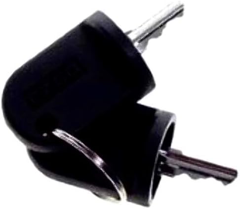 LLAVES, INTERRUPTOR DE ENCENDIDO (2), EZ-GO Carrito de Golf Carrito de Golf RXV