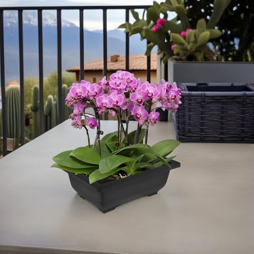 Pots de fleurs légers pour aménager un petit balcon encombré sans effort