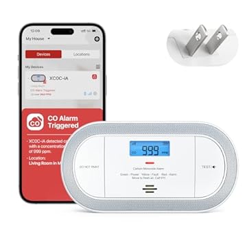 smart carbon monoxide detector