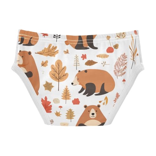 KLL Celebrate Holiday Canada Day Beavers Elements Little Boys Pure Cotton Underwear Briefs Cute Undies2