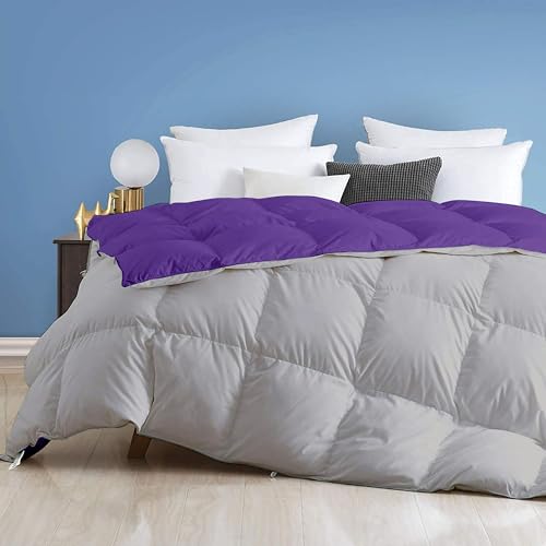 Image of Day Care - 400 GSM Hotel Quality-Down Alternative Reversible Comforter (92 inch x 106 inch Inches /228cm x 228cm) - Comforter King Size|Purple /Silver