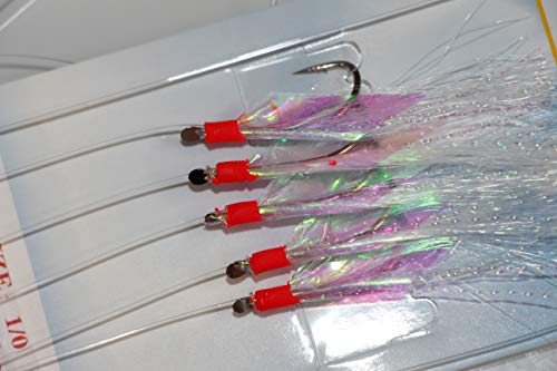 10 Packs Sabiki Rigs Fishing Flasher Lures Bait Rigs for Freshwater/Saltwater (10packs)