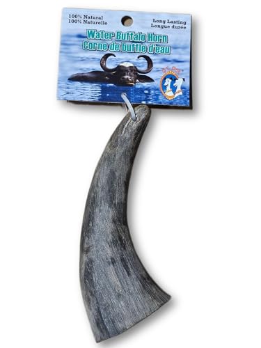 QT Dog Buffalo Hornz - Medium (Pack of 2) | Long-Lasting 100% All-Natural Dog Chew | Ethically Sources Protein-Packed & Low Fat Dental Chews | Ideal for All Breeds & Aggressive Chewers |