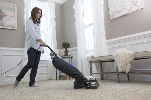 Kirby 204814 Micron Magic HEPA-Filter Plus Beutel, Polypropy, Weiss/opulenter Garten, 6, 6.