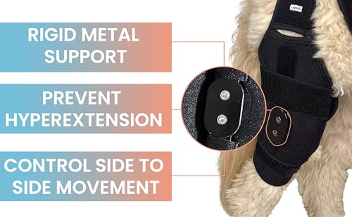 Image of Labra Dog Canine Knee Stifle Brace Wrap, Metal Splint Hinged Flexible Support Brace for K9 ACL, CCL, Luxating Patella, Cruciate Ligament Sprains in Back, Rear, Hind Leg (Medium - 30-50lbs)