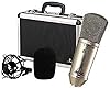 Behringer B-1 Microfono a condensatore da studio a diaframma largo con spruzzatura dorata