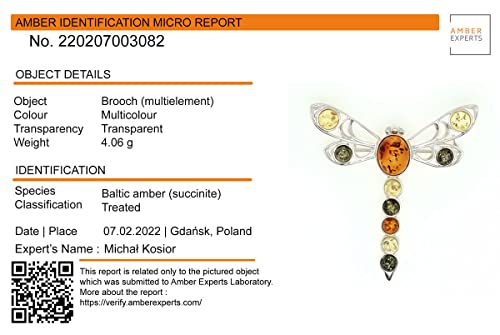 Image of Sterling Silver and Baltic Amber Dragonfly Brooch