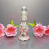  RSbottle Parfümflasche Parfum Flakon leer 20 ml tropfflasche ätherisches öl Leere Flasche parfüm Tattoo farbunterflasche antike kosmetische Leere glasflasche, EIN Silber