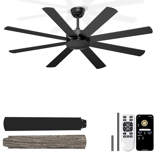 Phylluz 60 Black Ceiling Fan No Lights for Indoor/Covered Outdoor