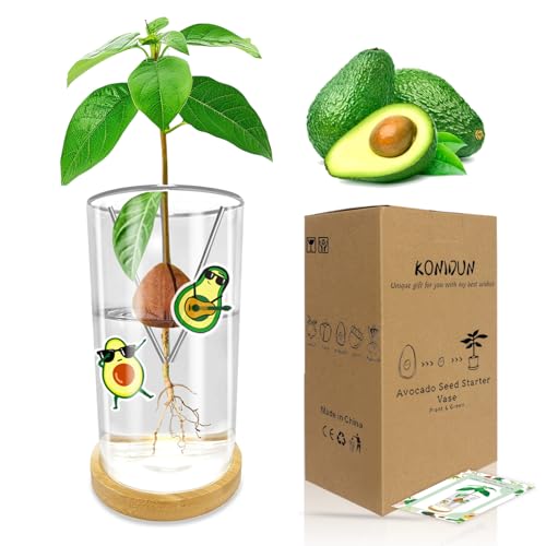 KONIDUN Avocado Seed Starter Vase - Avocado Tree Growing Kit with Base and Sticker, Glass Avocado Pit Sprouting Plant Pot Gift for Women, Gardening Lovers Home Office Table Decoration, Indoor No Seed