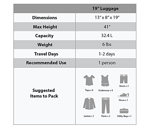 Rockland Pasadena Softside Spinner Wheel Luggage, Purple, Carry-On 20-Inch #TOP5