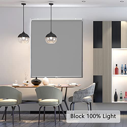 Aosky BK-RS-GREY-3072 Roller Window Shades Blackout Blinds thumb #1