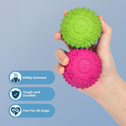 Image of Best Pet Supplies Squeaky Dog Toys with Soft Durable Fabric for Small, Medium and Large Pets Interactive Toy for Indoor Play, Supports Active Biting and Play - Fuchsia, Green (M:2.5 inch)