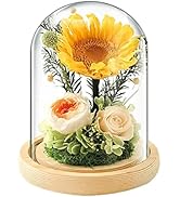 Amazon｜プリザーブドフラワー プレゼント LEDライト付き 母の日
