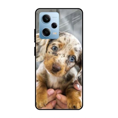 Image of SmashItUp Puppy | Dog | Animal Designer Printed TPU Metal Case Mobile Back Cover for Redmi Note 12 Pro 5G