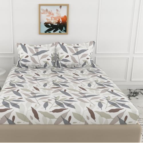 Image of LORETO - A QUALITY LINEN BRAND 210 TC 100% Pure Cotton King Size Fitted Bedsheet with 2 Pillow Covers for 78 x 72 Inch Mattress, All-Around Elastic, 8 Inch Deep Pocket, Grey Leaf Whisper