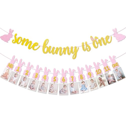Décorations de 1er anniversaire pour filles avec kit de cartes de lapin et gâteau