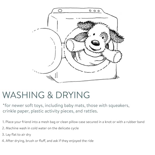 Taggies Soft Rattle With Teether Ring, 13-Centimetres, Molasses Sloth - 6