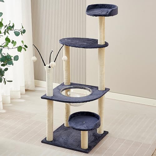 Lbg^[ ~j L^[ ^ u 50cm RpNg ȃXy[X J[1 ܂Ƃ  CeA Vv 킢 L ܌  W] FD