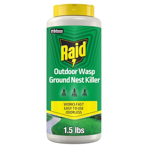 Raid Outdoor Wasp Ground Nest Killer 24 oz