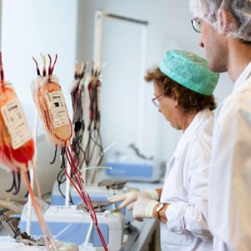 Gr&egrave;ve des m&eacute;decins : "Casser le thermom&egrave;tre ne va pas arranger la fi&egrave;vre" avec Fabienne Yvon, pr&eacute;sidente de MG France et m&eacute;decin g&eacute;n&eacute;raliste &agrave; Orvault